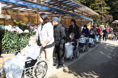 菊人形見学の様子その２