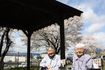 お花見の様子その３