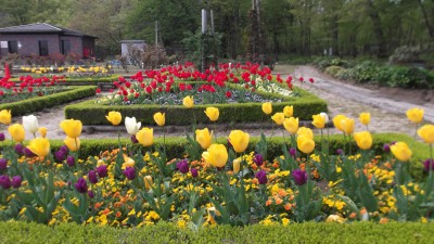 緑の花壇