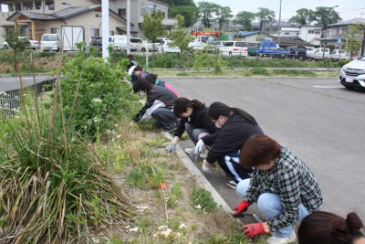 除草作業の様子その１