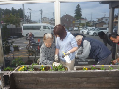 花の苗植えの様子