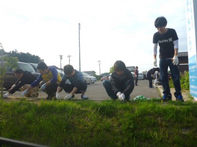 除草作業の様子その１