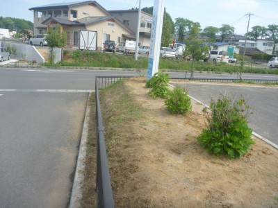 除草作業の様子その３