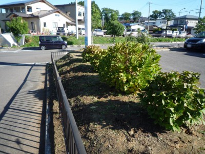 秋祭り前除草作業の様子その3