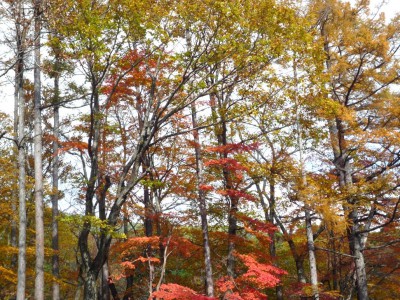 入所紅葉ツアーの様子その１