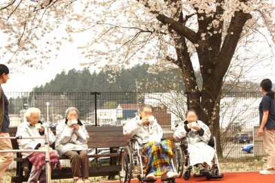 お花見の様子