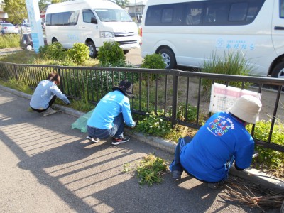 初夏の除草作業の様子その1