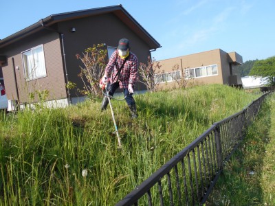 初夏の除草作業の様子その2