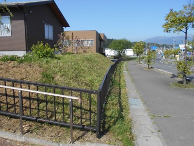 初夏の除草作業の様子その3